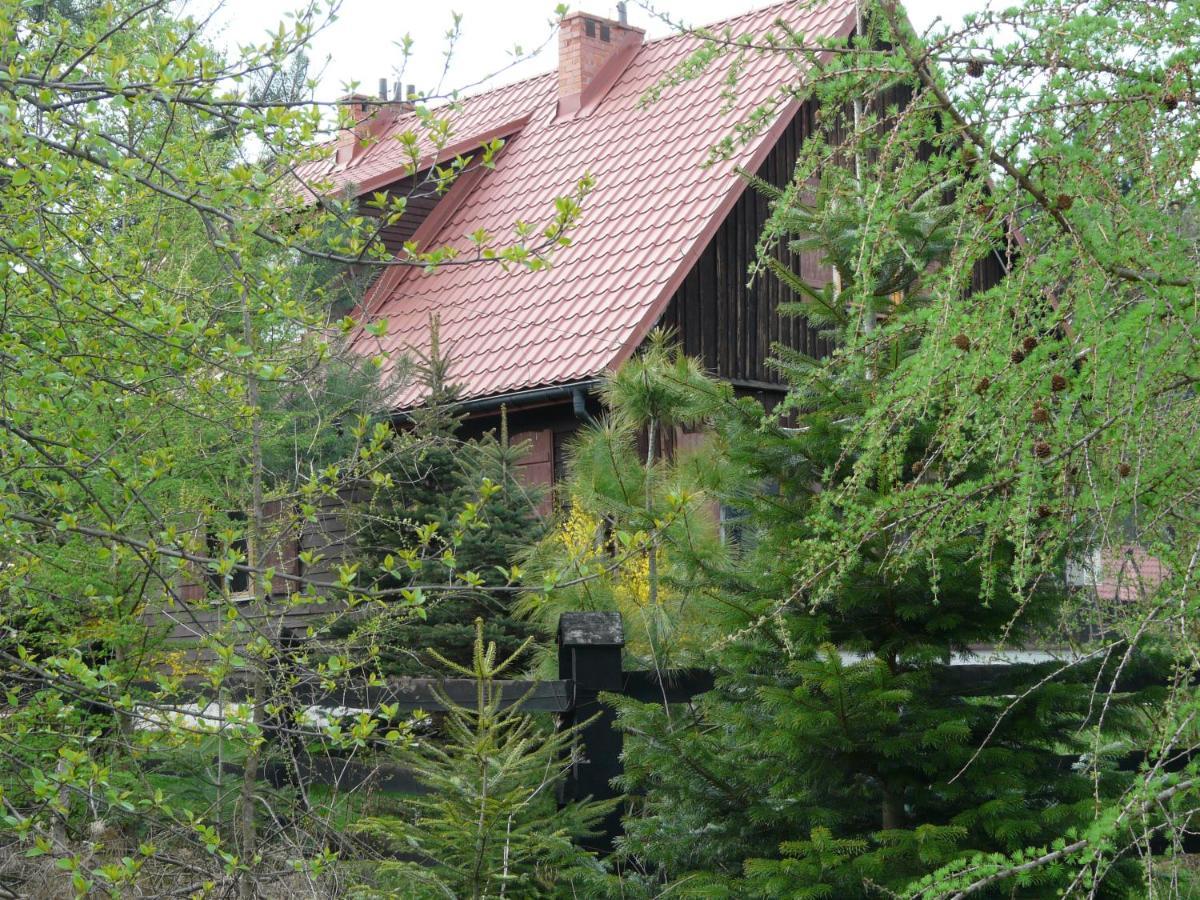 Domek Kopulowy Salamandra Krempna Exterior foto