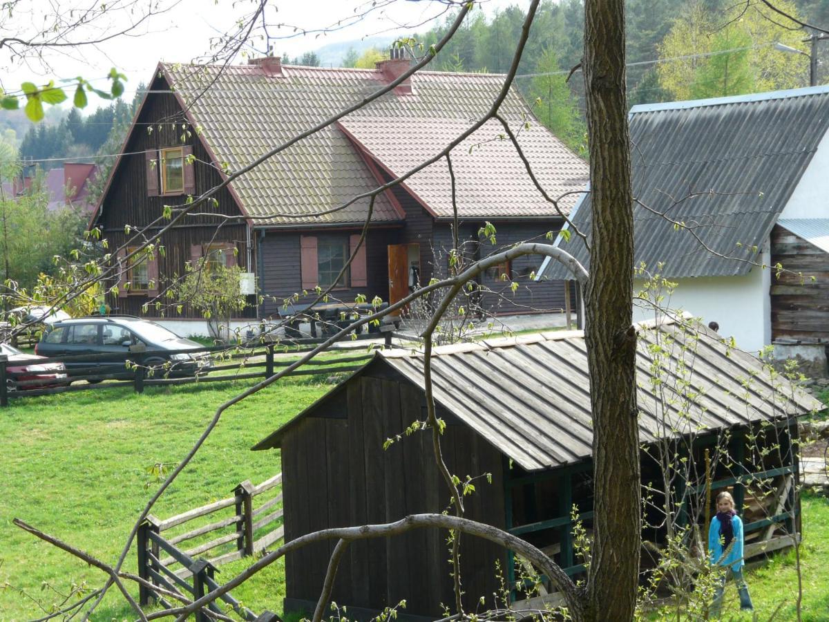 Domek Kopulowy Salamandra Krempna Exterior foto